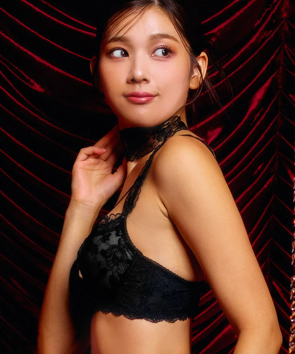 Gorgeous Embroidered Lace Bra
