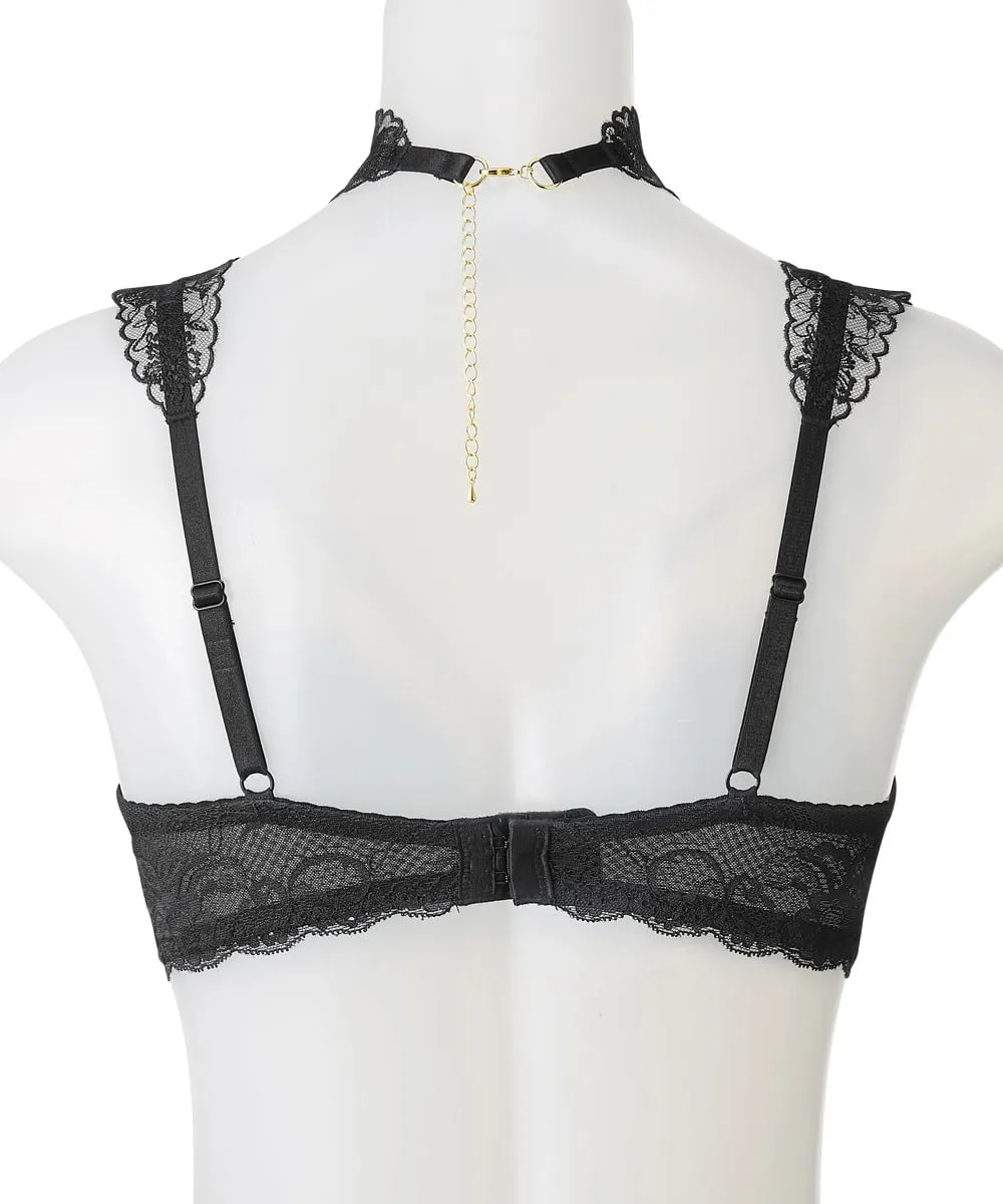 Gorgeous Embroidered Lace Bra