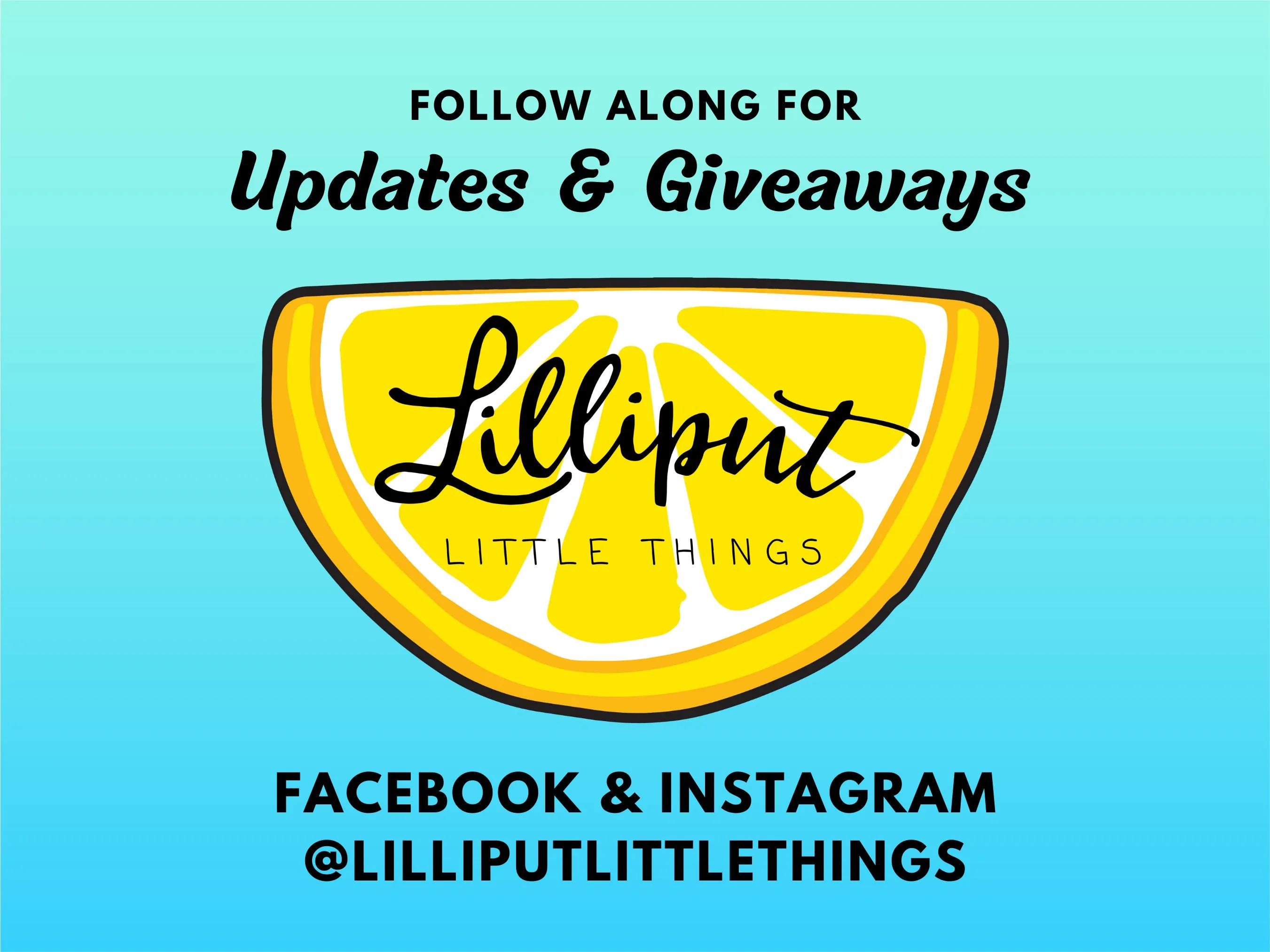 Lilliput Surprise Grab Bag // Final Sale