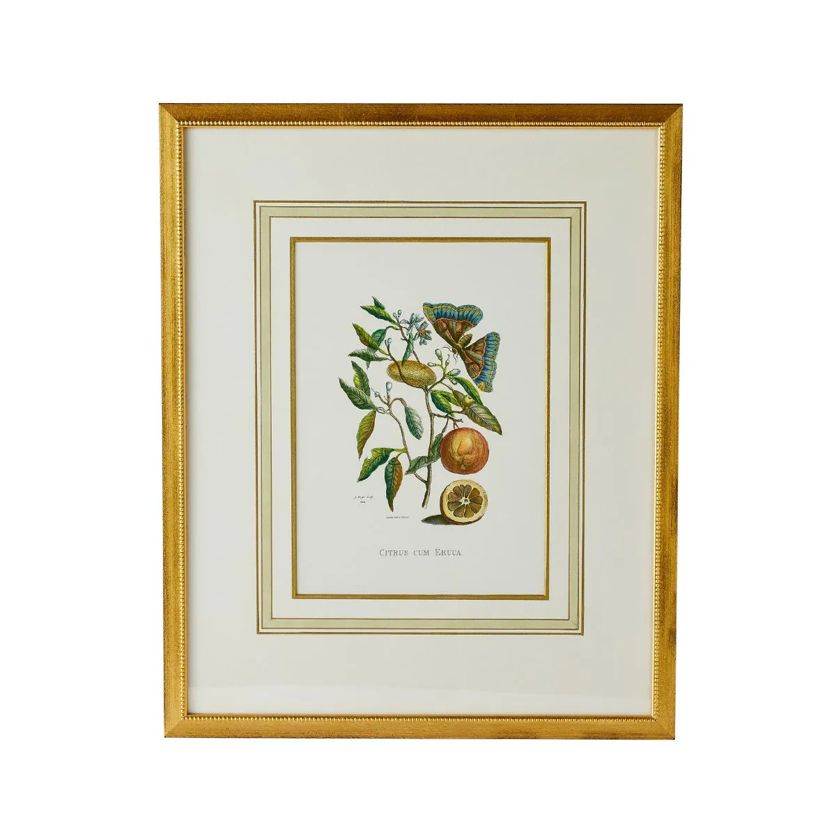 Meriam Botanicals 1