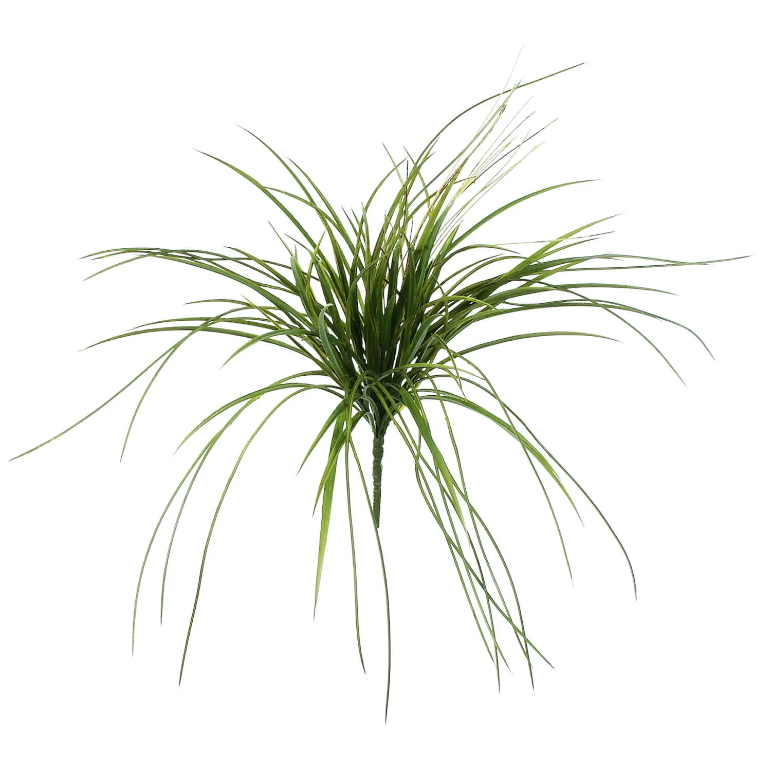 Mixed Mountain Grass