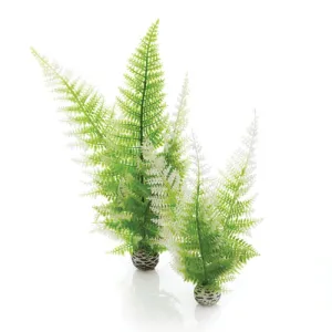 Oase biorb Winter Fern Set of 2