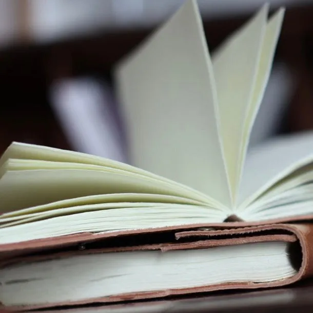 Savannah Leather Journals